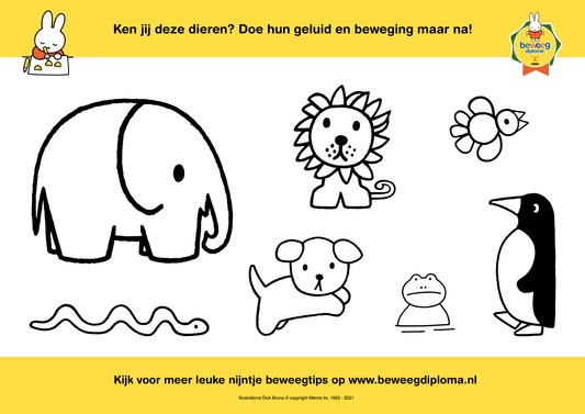 nijntje kleurplaat (per 100 stuks)